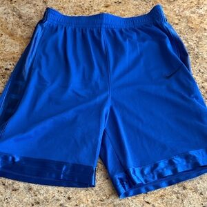 Nike Men's Vibrant Blue Athletic Shorts
